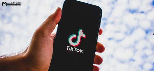 tiktok黑料网,揭开网络迷雾背后的真相