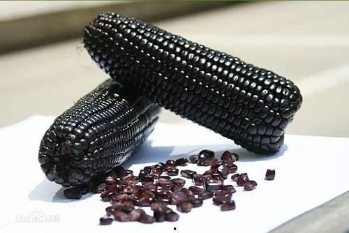 包头网红黑料公司有哪些