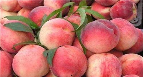 网红桃子味黑料,网红背后的真相与争议