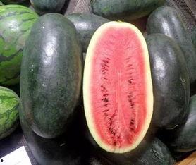 快手网红黑料吃瓜网,吃瓜网带你探秘网络红人幕后真相