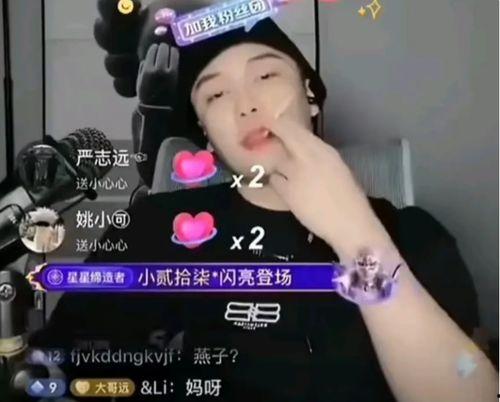 网红有黑料会怎么样,揭秘网络红人背后的真相与后果