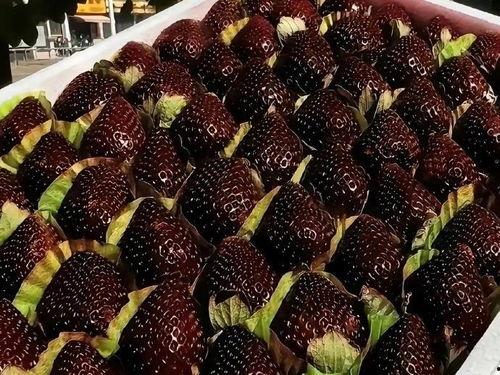 网红黑黑草莓黑料是什么,真相与争议全解析